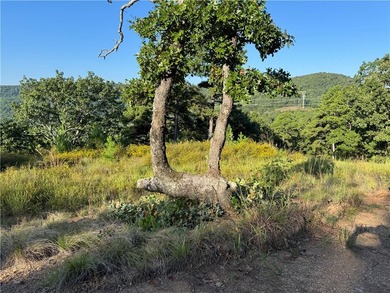 Spring Mountain Estate spans 1,675+/- contiguous acres in Yell & - photo 17