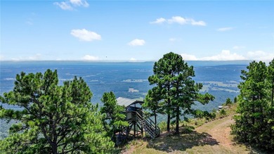 Spring Mountain Estate spans 1,675+/- contiguous acres in Yell & - photo 18