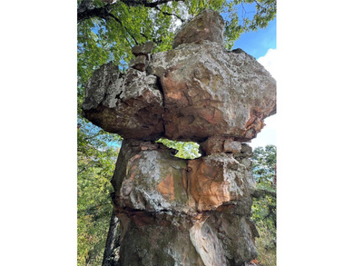 Spring Mountain Estate spans 1,675+/- contiguous acres in Yell & - photo 20