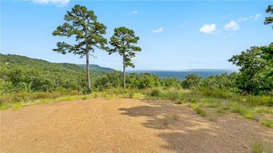 Spring Mountain Estate spans 1,675+/- contiguous acres in Yell & - photo 21