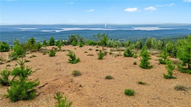 Spring Mountain Estate spans 1,675+/- contiguous acres in Yell & - photo 22