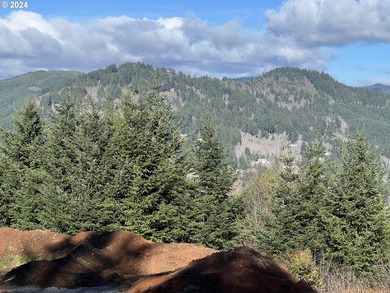 INCREDIBLE COASTAL RETREAT WITH MOUNTAIN VIEWS. Build your dream - photo 1