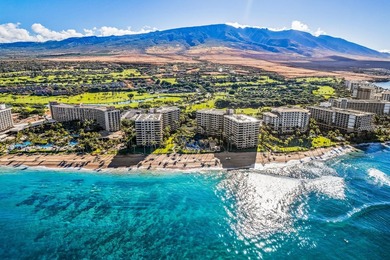 Captivating northwest facing views of Kaanapali's sandy - photo 37