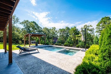 Stunning property on almost 1 acre with views of the Arkansas - photo 44