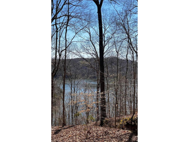 Dale Hollow Lake Lot For Sale in Albany Kentucky