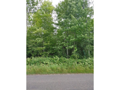 Round Lake - Sawyer County Lot For Sale in Hayward Wisconsin