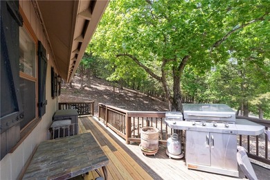 BOAT SLIP INCLUDED + EXTRA LOT! Lake retreat in Lost Bridge - photo 50