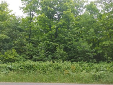 Round Lake - Sawyer County Lot For Sale in Hayward Wisconsin