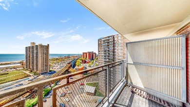 Extremely bright 1-bedroom, 1-bath apartment on the 17th floor - photo 8