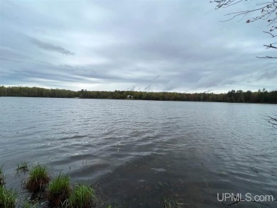 Lake Mary Lot For Sale in Crystal Falls Michigan