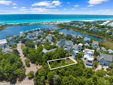 Camp Creek Lake Lot For Sale in Watersound Beach Florida