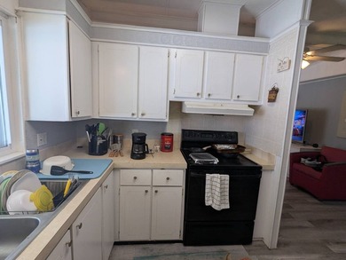 Welcome Home to this Lovely 2 Bedroom 2 Bath Double Wide located - photo 7