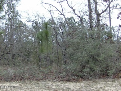(private lake, pond, creek) Acreage For Sale in Chipley Florida