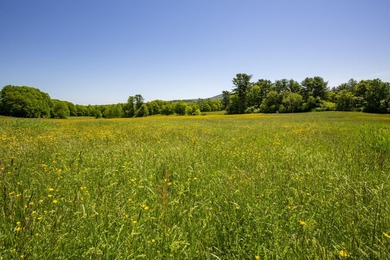Set amid the rolling countryside of Appleton, this remarkable - photo 12