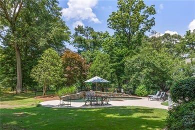 Undoubtedly one of the most gorgeous river lots in North - photo 12