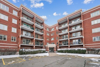 (private lake, pond, creek) Condo For Sale in Chicago Illinois