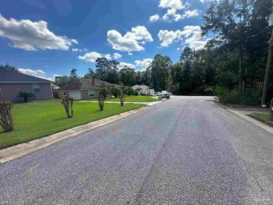 Introducing the perfect opportunity to build your dream home on - photo 4