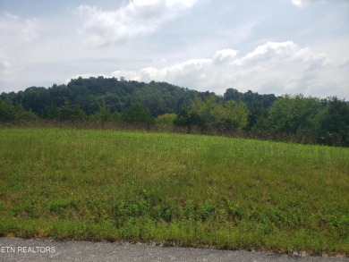 Lake Lot For Sale in New Tazewell, Tennessee