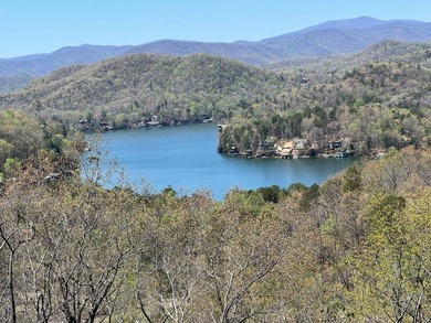 Twenty-one breathtaking acres adjacent to and overlooking Lake - photo 3
