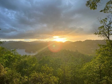 Twenty-one breathtaking acres adjacent to and overlooking Lake - photo 7