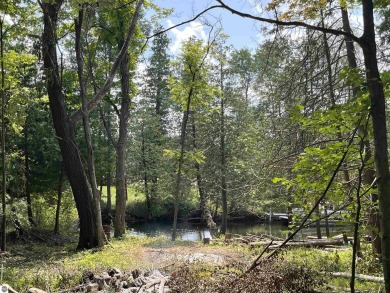 Antrim County Chain of Lakes Lot For Sale in Bellaire Michigan