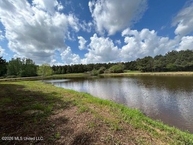 Stunning 120-Acre Recreational Retreat Near Tylertown Discover - photo 11