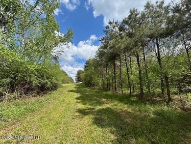 Stunning 120-Acre Recreational Retreat Near Tylertown Discover - photo 14