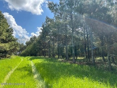 Stunning 120-Acre Recreational Retreat Near Tylertown Discover - photo 17
