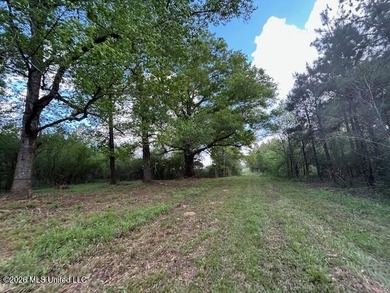 Stunning 120-Acre Recreational Retreat Near Tylertown Discover - photo 22