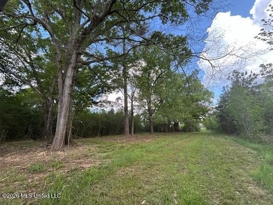 Stunning 120-Acre Recreational Retreat Near Tylertown Discover - photo 23