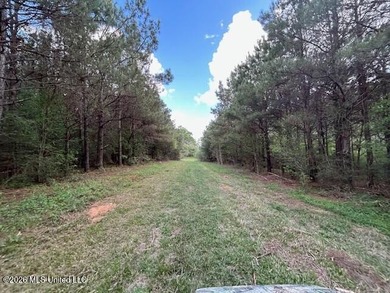 Stunning 120-Acre Recreational Retreat Near Tylertown Discover - photo 25