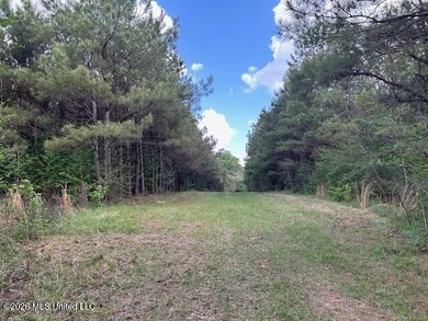 Stunning 120-Acre Recreational Retreat Near Tylertown Discover - photo 26