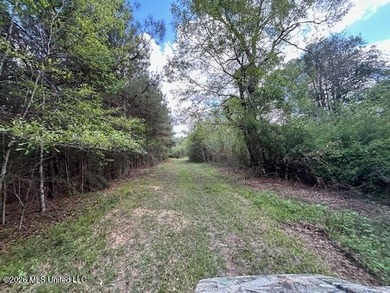 Stunning 120-Acre Recreational Retreat Near Tylertown Discover - photo 27