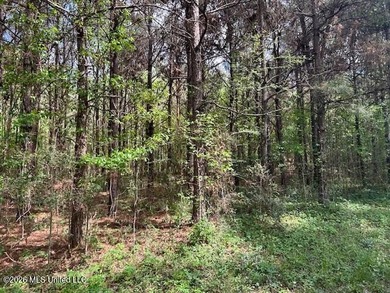 Stunning 120-Acre Recreational Retreat Near Tylertown Discover - photo 29