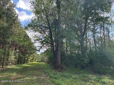 Stunning 120-Acre Recreational Retreat Near Tylertown Discover - photo 30