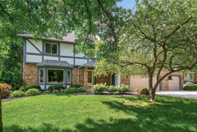 Lake Home For Sale in Maple Grove, Minnesota