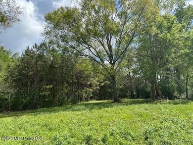 Stunning 120-Acre Recreational Retreat Near Tylertown Discover - photo 32
