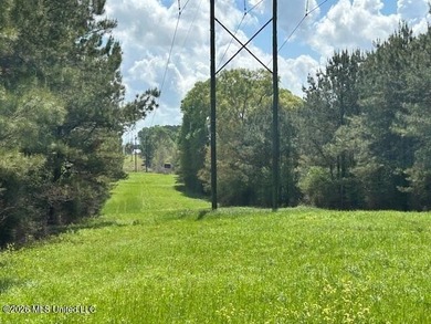 Stunning 120-Acre Recreational Retreat Near Tylertown Discover - photo 33