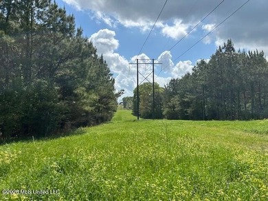 Stunning 120-Acre Recreational Retreat Near Tylertown Discover - photo 34