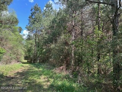 Stunning 120-Acre Recreational Retreat Near Tylertown Discover - photo 35