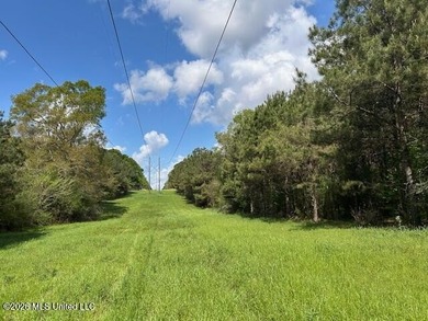 Stunning 120-Acre Recreational Retreat Near Tylertown Discover - photo 36
