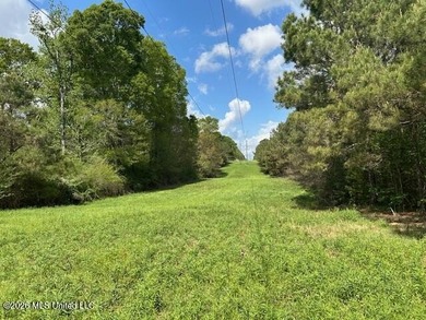 Stunning 120-Acre Recreational Retreat Near Tylertown Discover - photo 39