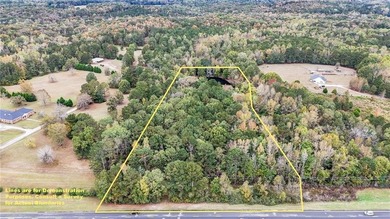 (private lake, pond, creek) Acreage For Sale in Meansville Georgia