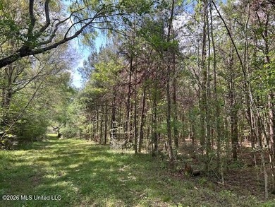 Stunning 120-Acre Recreational Retreat Near Tylertown Discover - photo 41