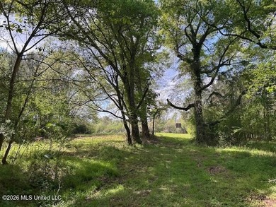 Stunning 120-Acre Recreational Retreat Near Tylertown Discover - photo 43