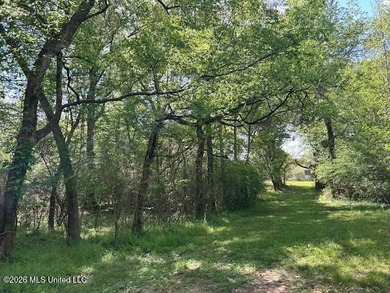 Stunning 120-Acre Recreational Retreat Near Tylertown Discover - photo 44