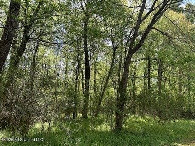 Stunning 120-Acre Recreational Retreat Near Tylertown Discover - photo 46