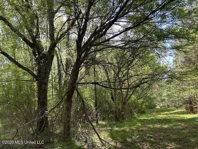 Stunning 120-Acre Recreational Retreat Near Tylertown Discover - photo 48