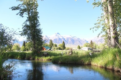 (private lake, pond, creek) Acreage For Sale in Mackay Idaho