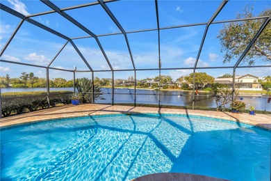 (private lake, pond, coastal) Home For Sale in St. Petersburg Florida